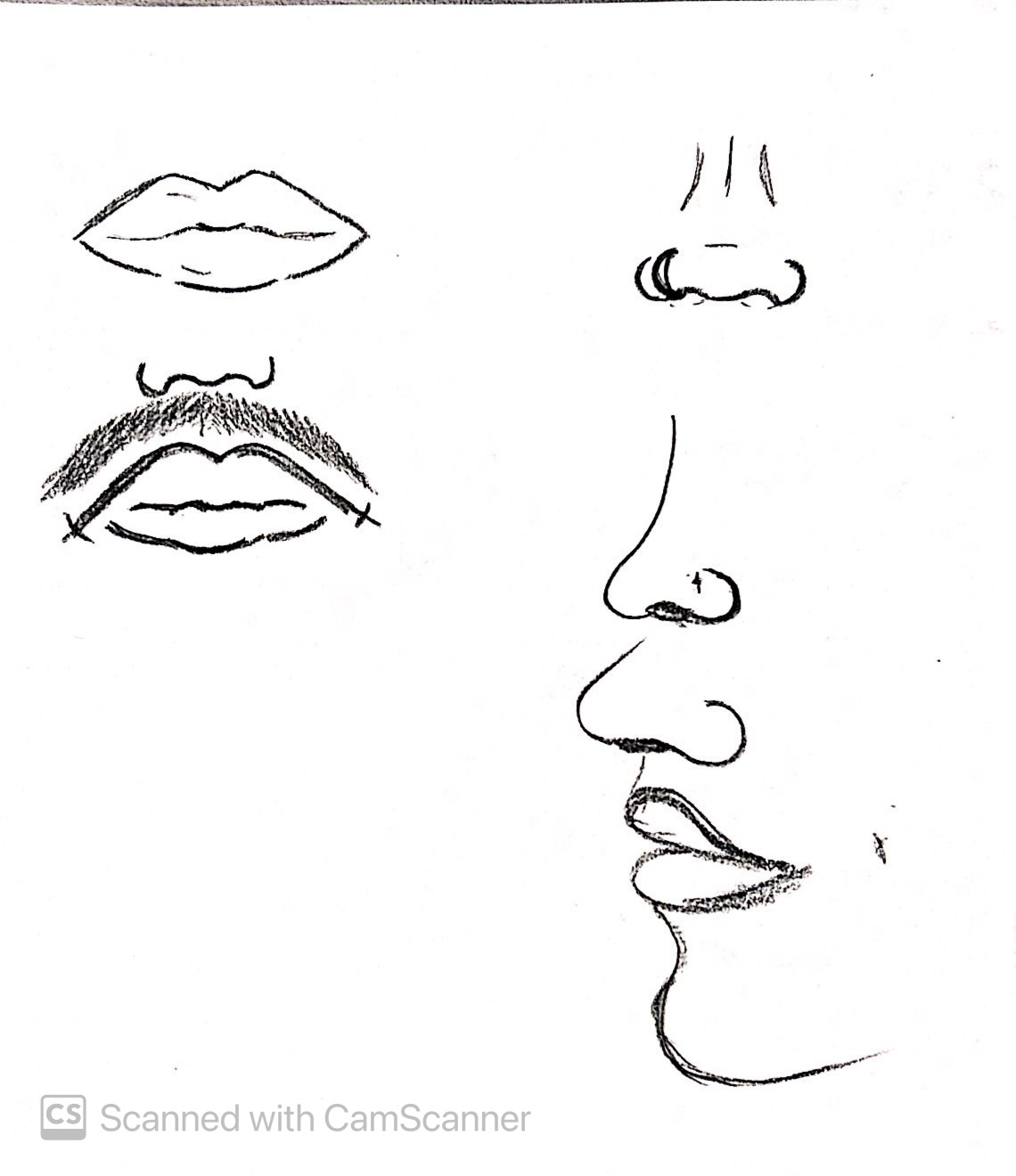 Sketchbook piece: IMG 2057