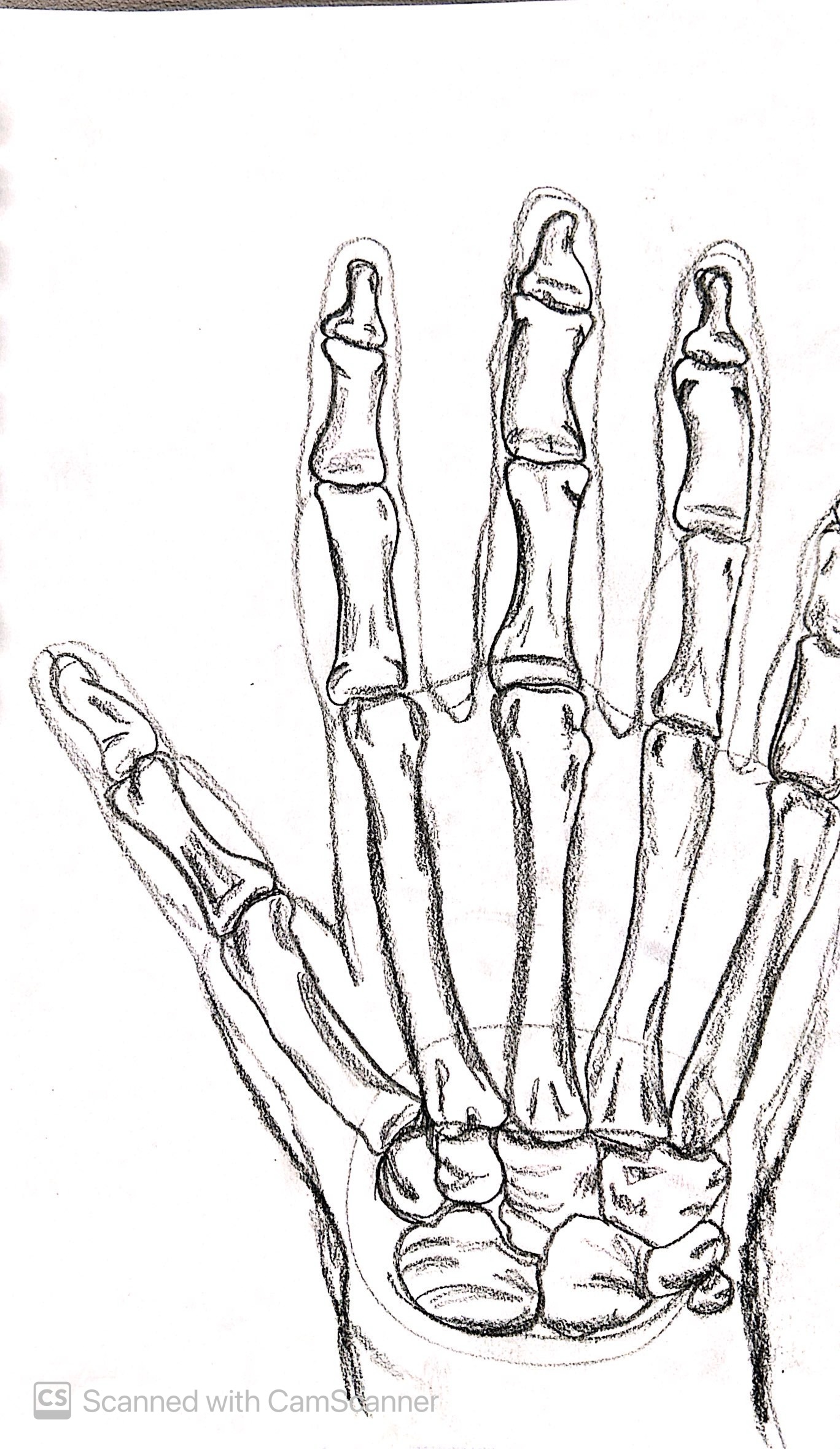 Sketchbook piece: IMG 2059