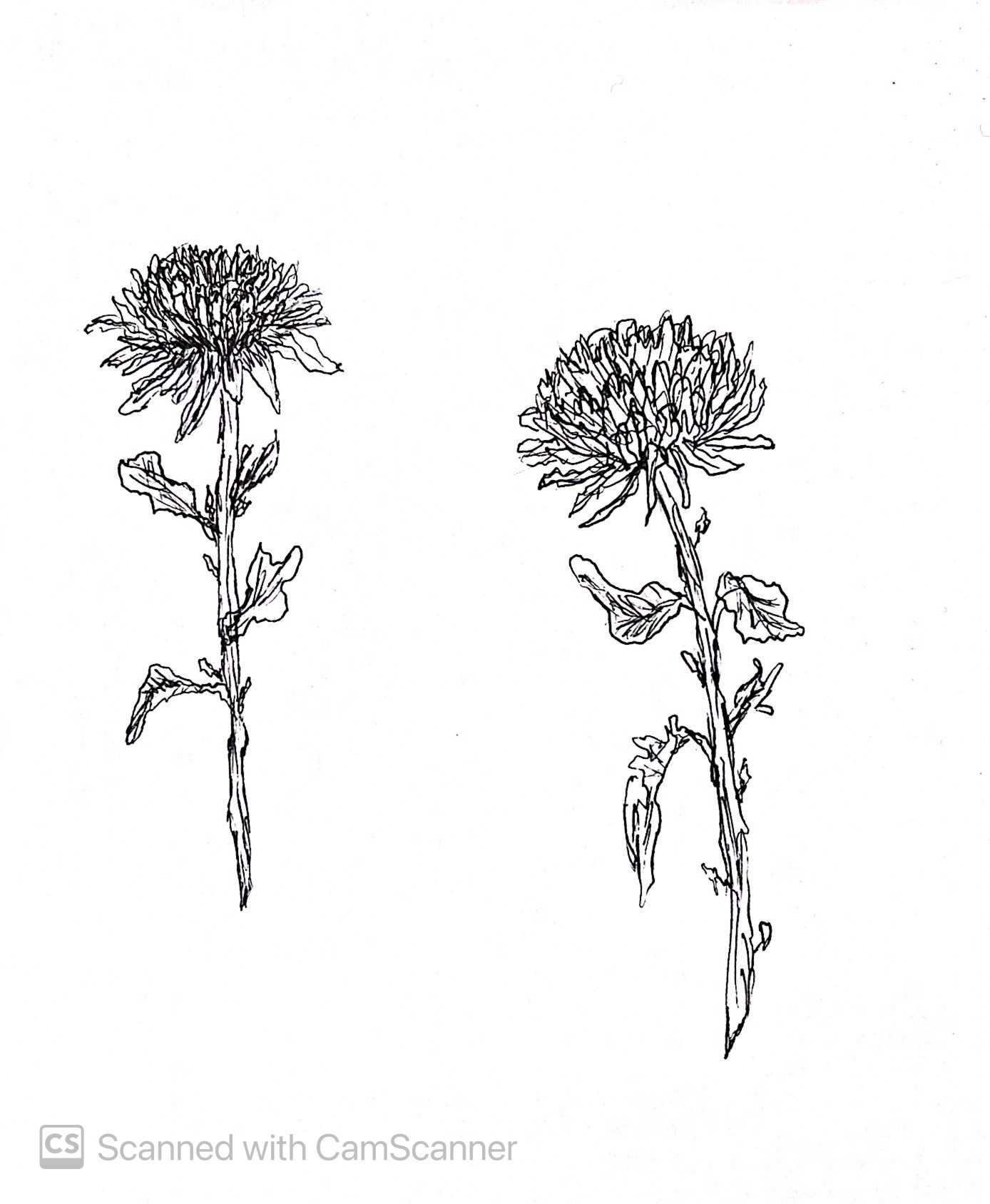 Sketchbook piece: IMG 2061